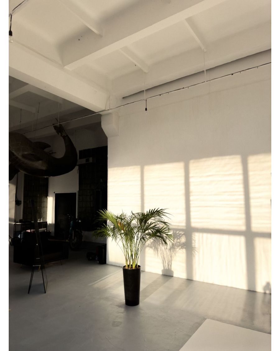 Find Comfort in Controlled Studio Daylight — Camera Shy? Here Is Your NYC Shoot Game Plan