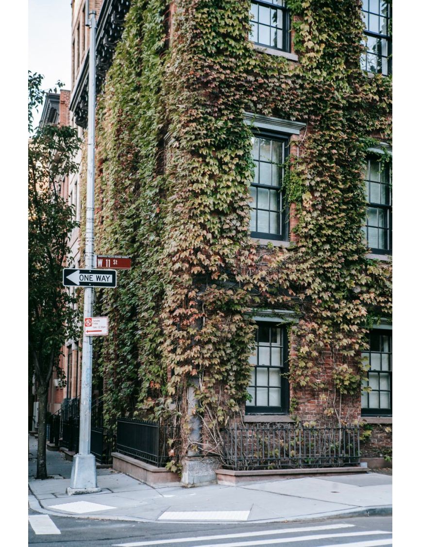 Fall: The Autumn Foliage Trap in Central Park — The Lie About NYC Couple Photos in Every Season