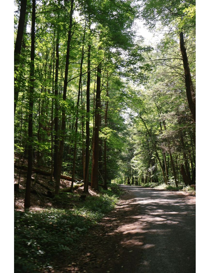 The Radical Digital Sabbath — Stop Feeding the Feed: The Joy of Invisible Content
