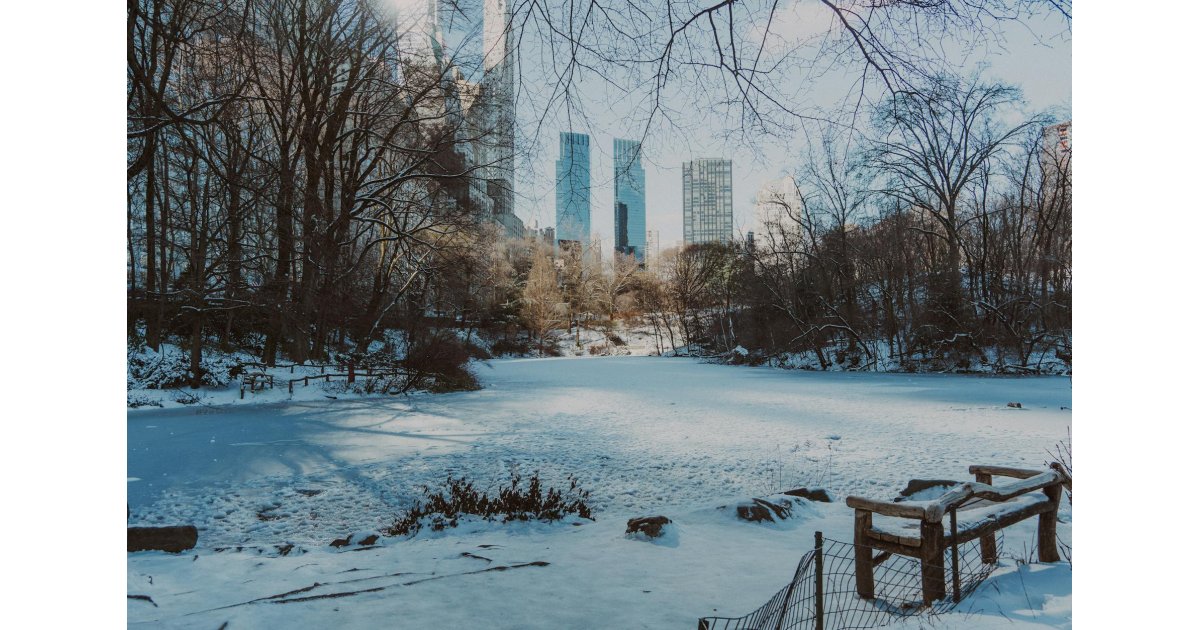 Best Winter Photoshoot Locations in NYC for Stunning Portraits