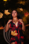 Night in the City Profile Picture