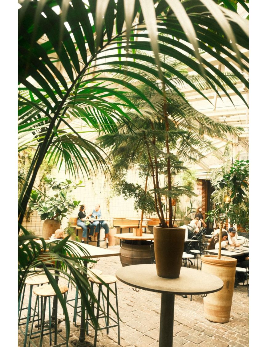 Devoción — Where I Actually Edit: My Holy Grail NYC Cafes