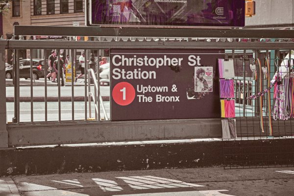 Why the Bronx is NYC’s most underrated backdrop this summer