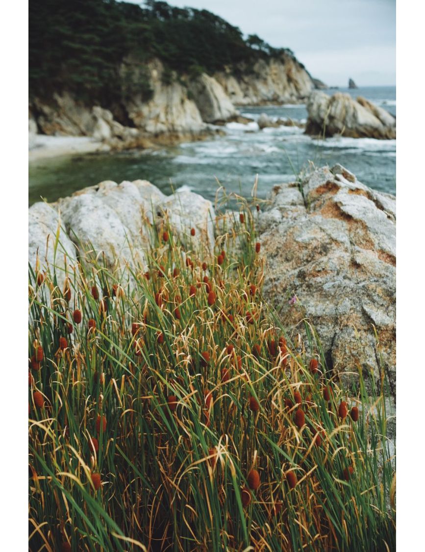 The Concrete Ribs of Mount Loretto — The Forgotten Coastline Fashion Won't Touch