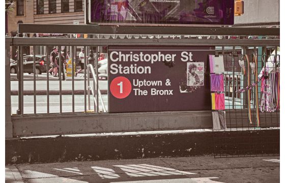 Why the Bronx is NYC’s most underrated backdrop this summer