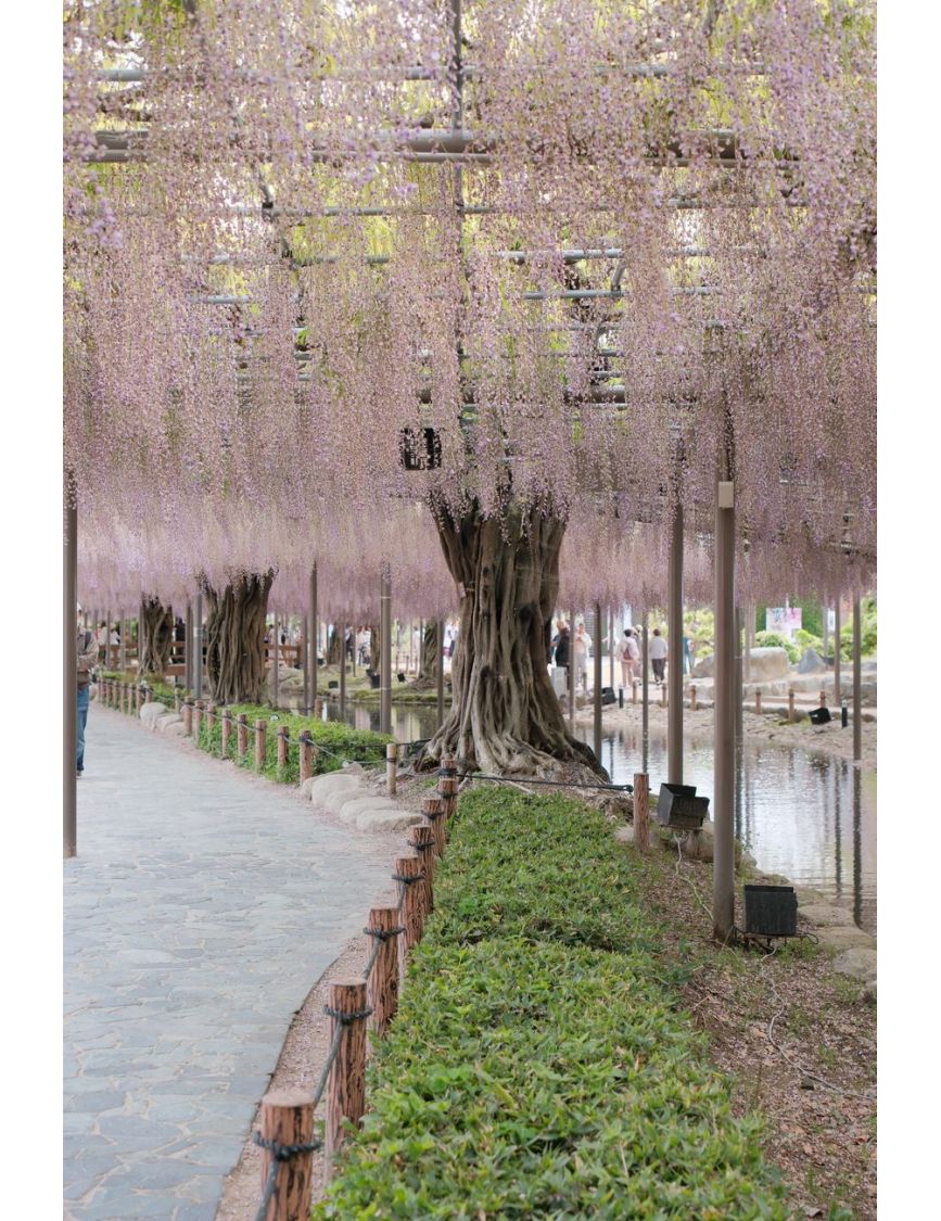 The Conservatory Garden — Skip the Central Park Clichés for Her Quinceañera