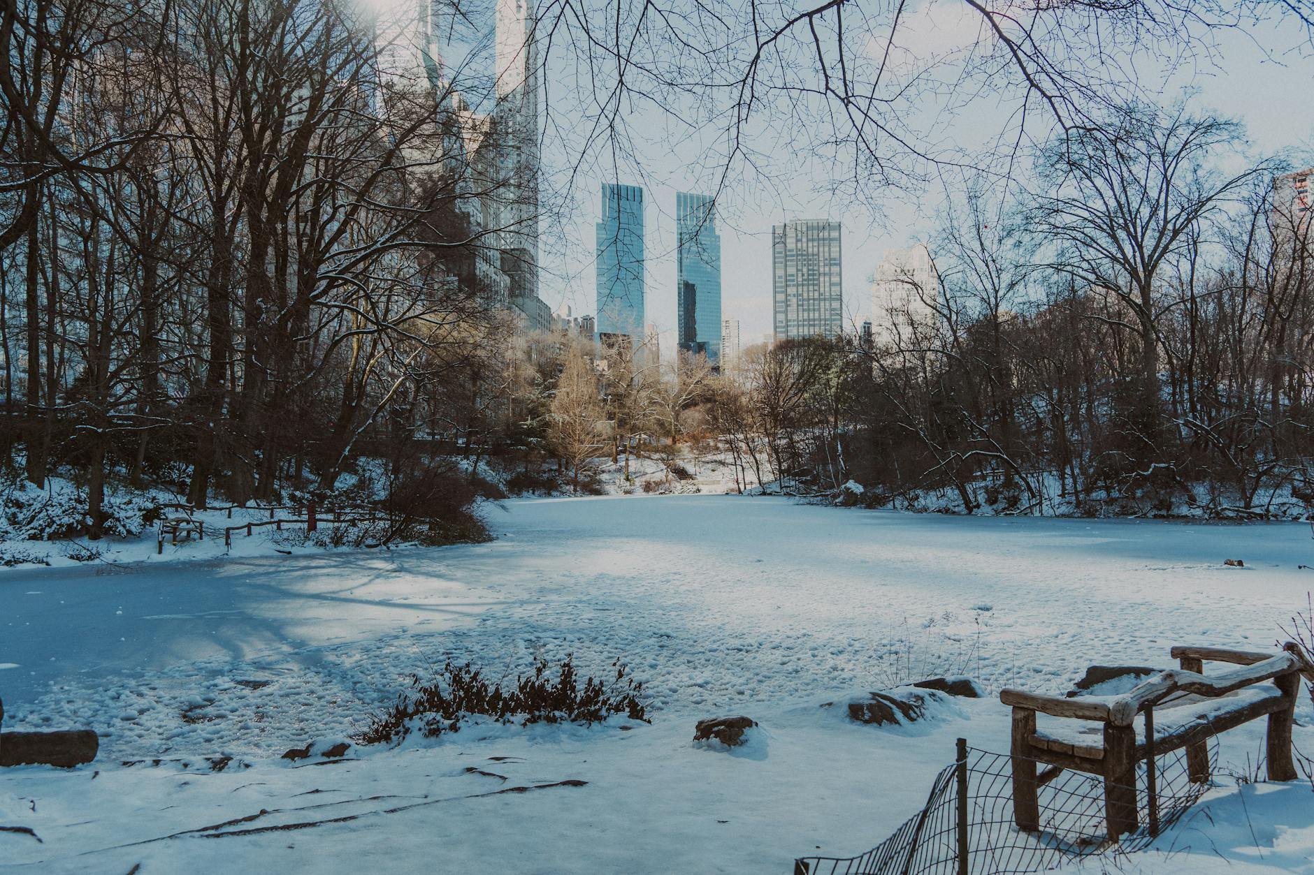 Best Winter Photoshoot Locations in NYC for Stunning Portraits
